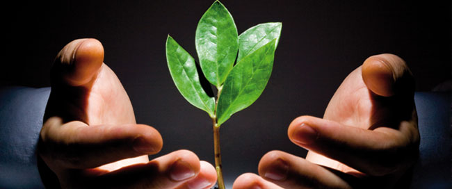 growth